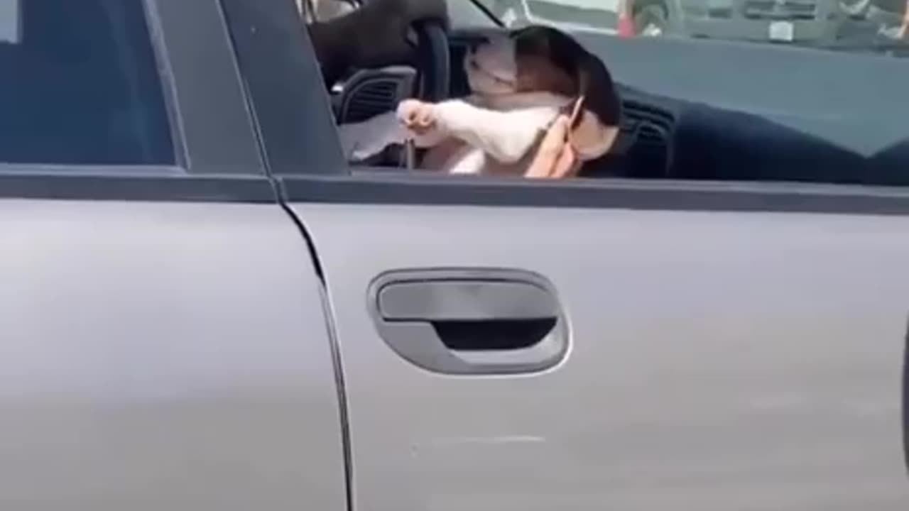 TRY NOT TO LAUGH 😆 Best Funny Videos Compilation 😂😁😆