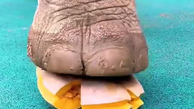 Thisskillissocool,doyouwanttolearnit