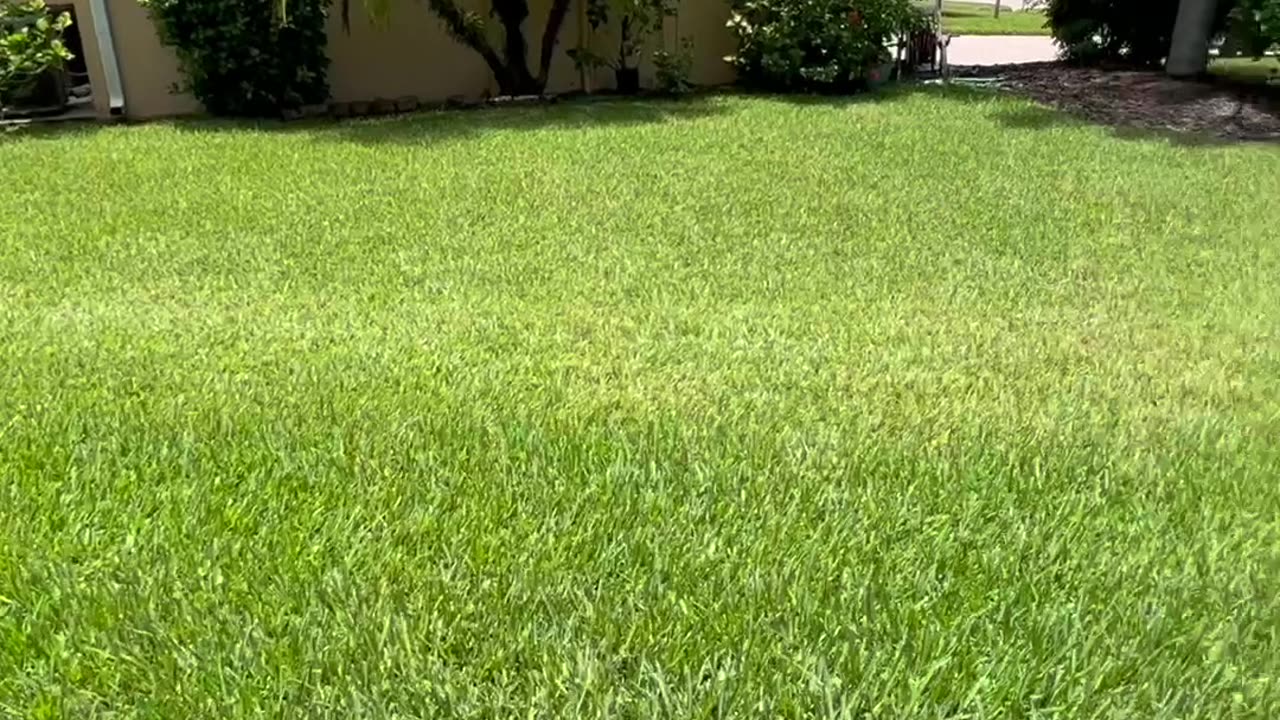 Confronting Lawn Pro At My Neighbor's House