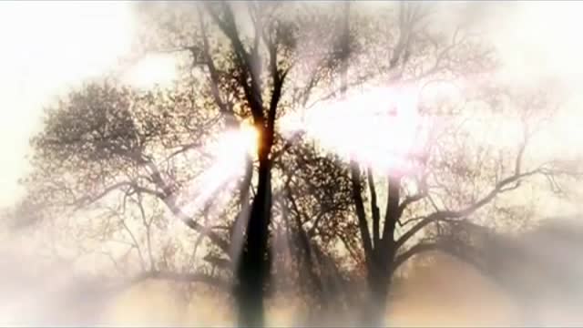 VISION- The Rapture Tribulation & The Future
