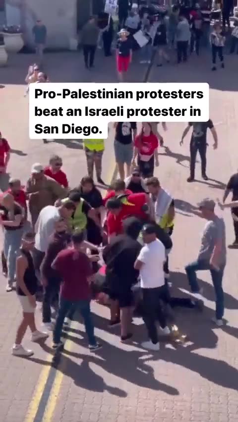 Brawl Breaks Out At Israel-Palestine Protest In San Diego