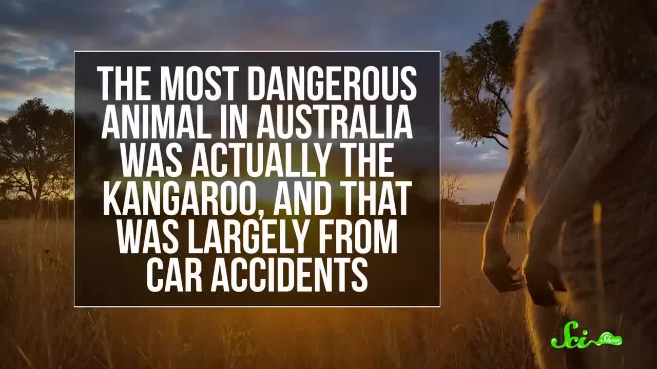 Is Australia Trying to Kill You?