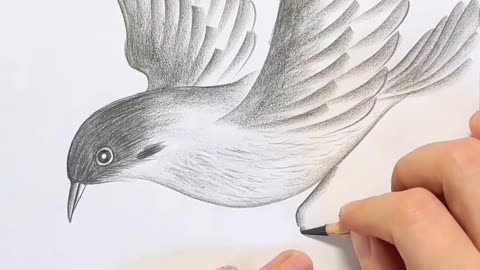 Learn easy pencil drawing ❤️😍!