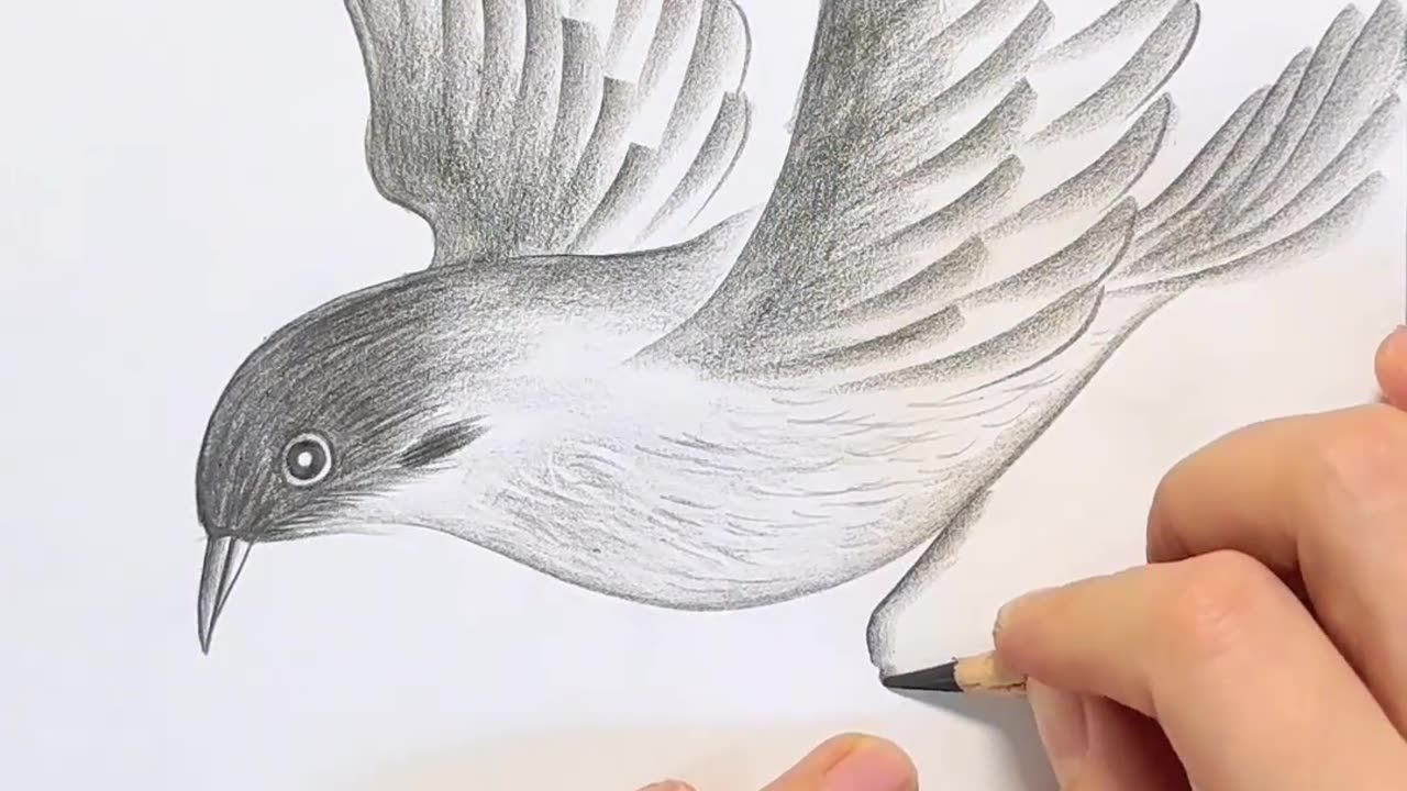 Learn easy pencil drawing ❤️😍!