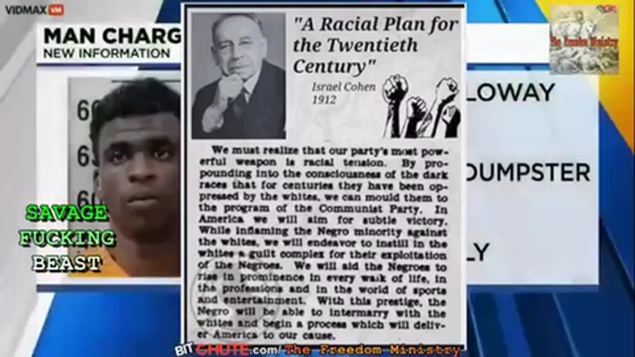 🚨TALMUDWOOD: A JEW MONGREL RACE OF EDOMITES (MULTICULTURALISM / KALERGI PLAN / WHITE GENOCIDE)