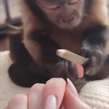 Times are tough and need to save cash 🤣