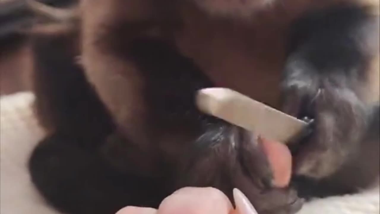 Times are tough and need to save cash 🤣