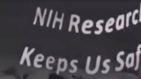 ANYONE STILL LISTENING TO THESE MAGGOTS ARE BEYOND HELP