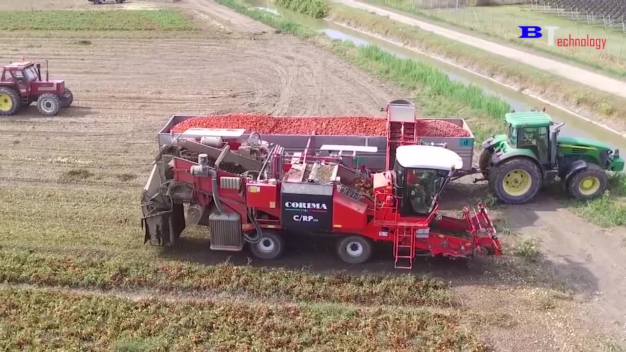 How Tomato Ketchup Is Made, Tomato Harvesting And Processing Process With Modern Technology