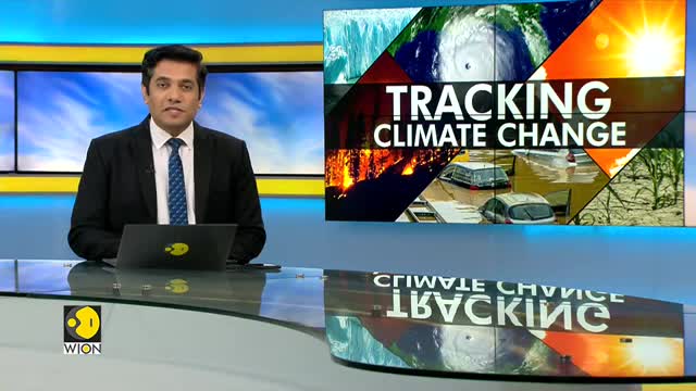 WION Climate Tracker- Turtle hatchling poops plastic for six days - International News