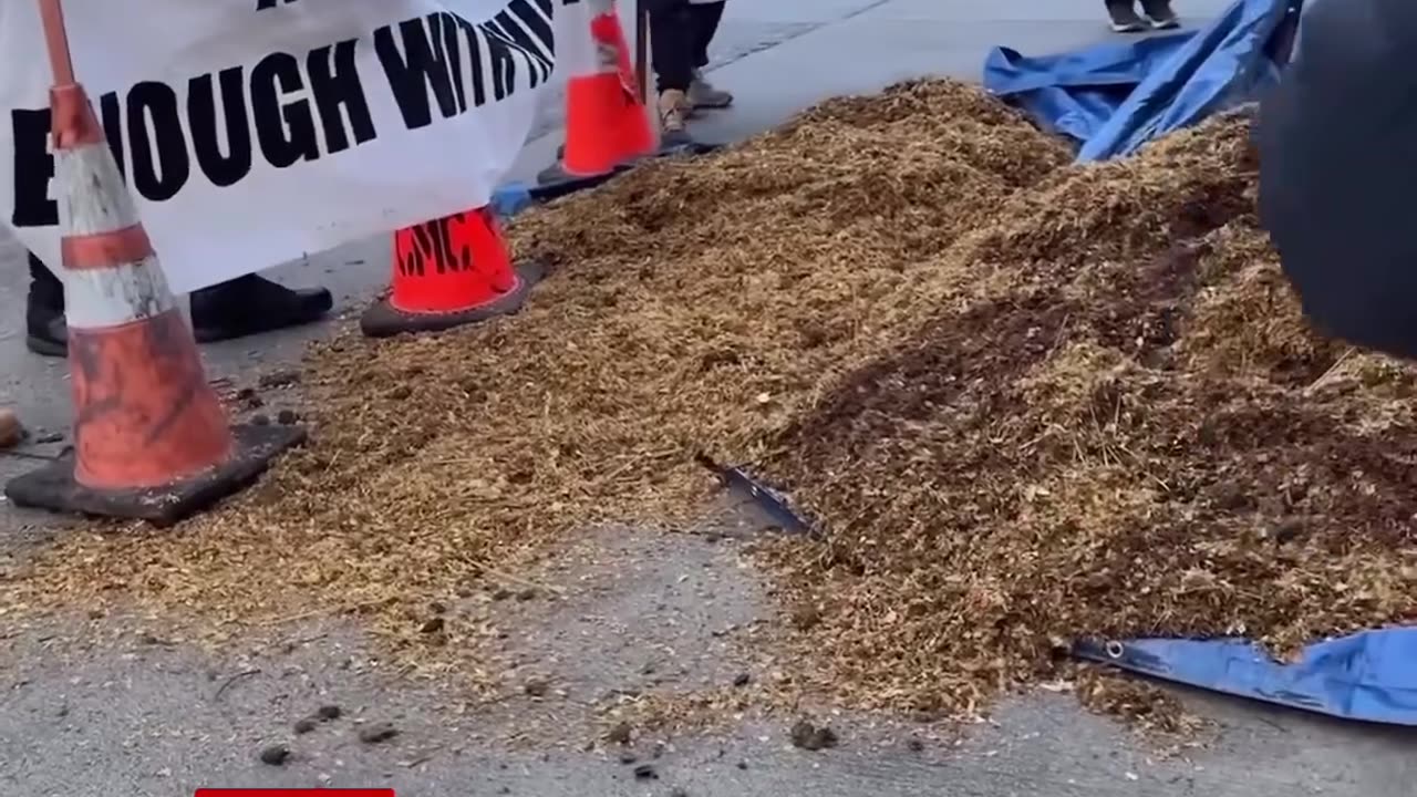 Bay Area Protestors have delivered a pile of shit to Nancy Pelosi’s house this morning.