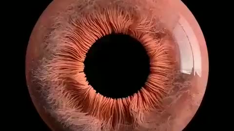 Taking a closer look at the human eye