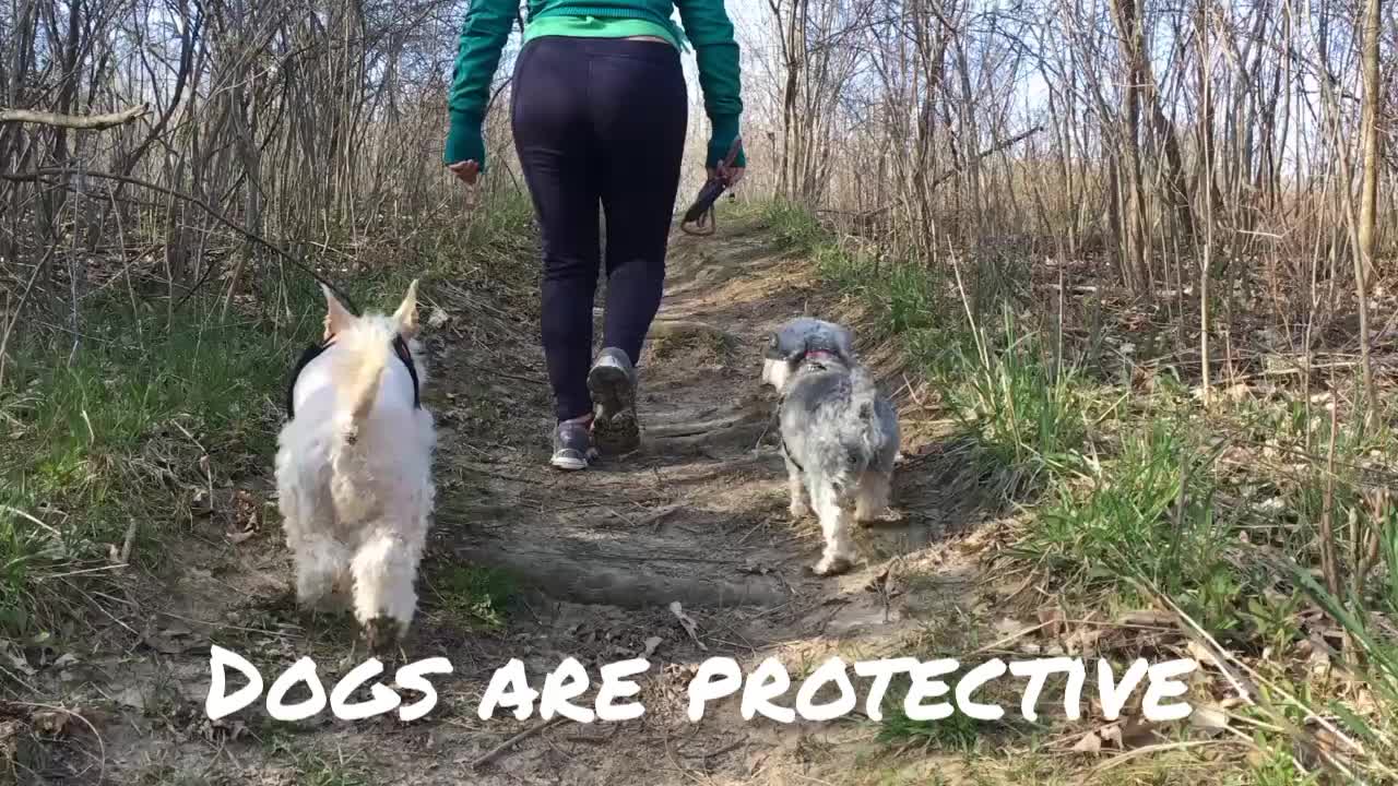 See how a beautiful woman was cut playing with a dog spinning dance movement.