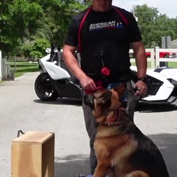 Feeding Time Is Training Time