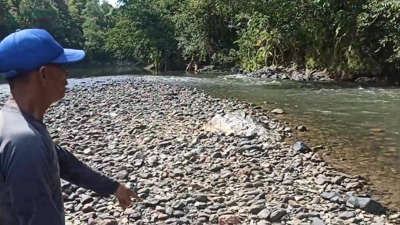 #laut#memancing#sungai#ikan Keliru apabila kita melabuhkan pukat, ikan kera merata-rata