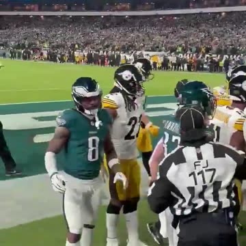 Field level view of Eagles Steelers fight