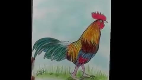 How to draw/cock easy drawing