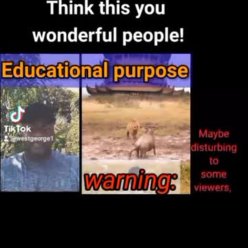 No place to surrender so what to do