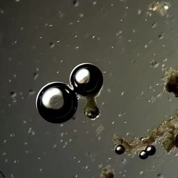 Hydrogen peroxide is great for disinfection