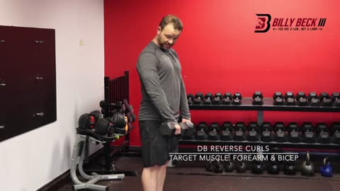 DB Reverse Curls