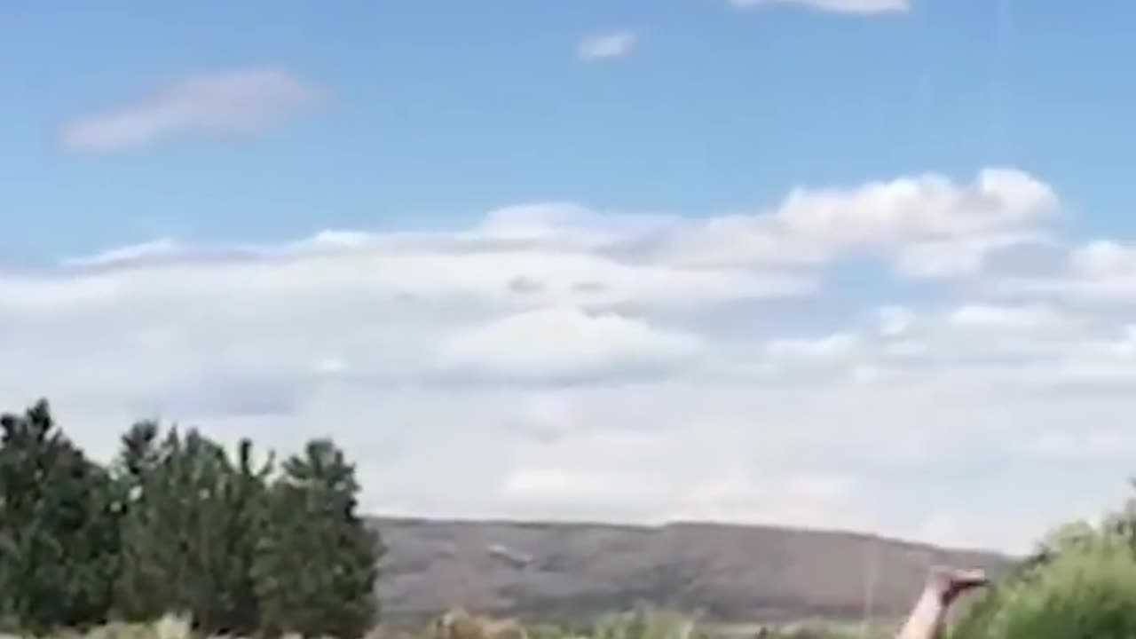 😂😂😂funny video#viral#best funny video#fails