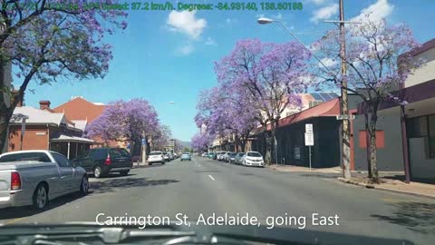 2021-11-27 Blossoming Season 14 - Jacaranda 3a