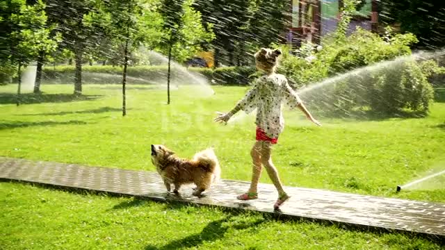 Child girl playing with the dog at the park lawn with pouring sprinklers