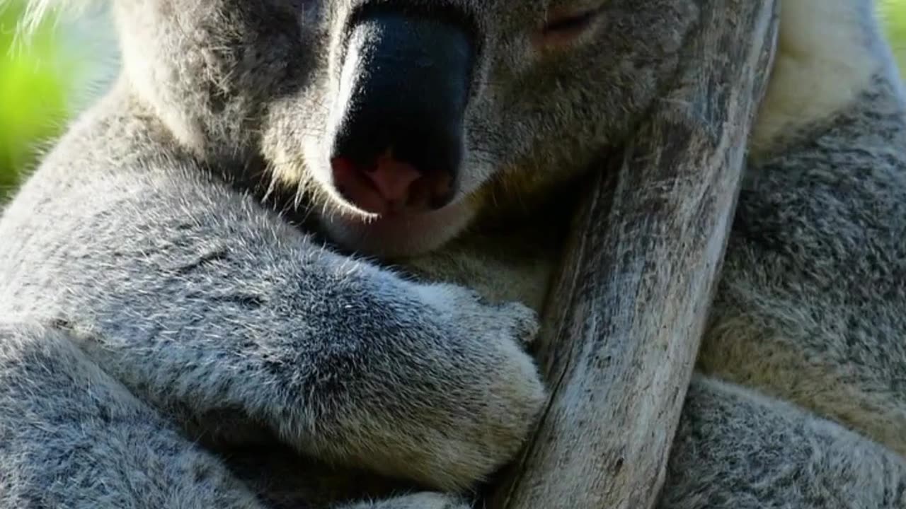 Sydney, Australia