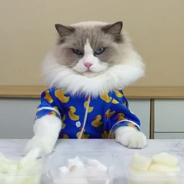 Is this your Puff of coffee ☕️ This fashion week drink isn’t