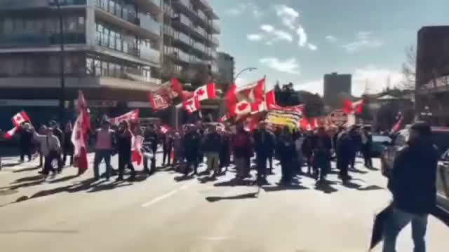 Stop Horganized crime.. Victoria, Canada