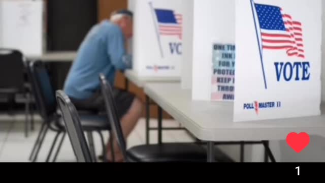 The Reason They Want You To Vote