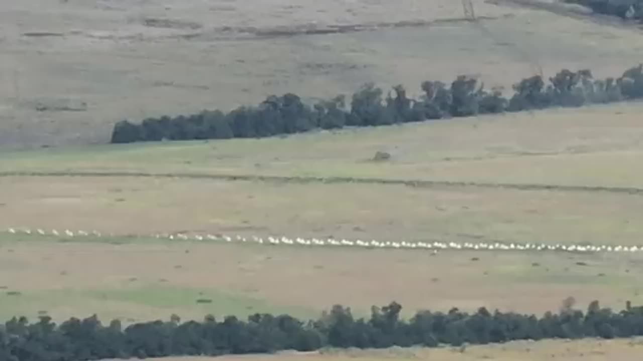 Ukrainian armor reaches main Russian fortifications NW of Verbove