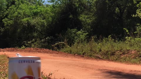 Beer Perfectly Placed on Rally Road