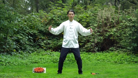 Qi Gong Energy Ball Training for Beginners