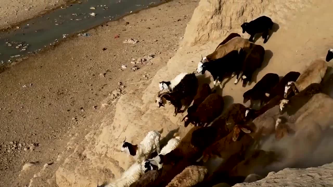 VIDA NÓMADA: GENTE TRABAJADORA