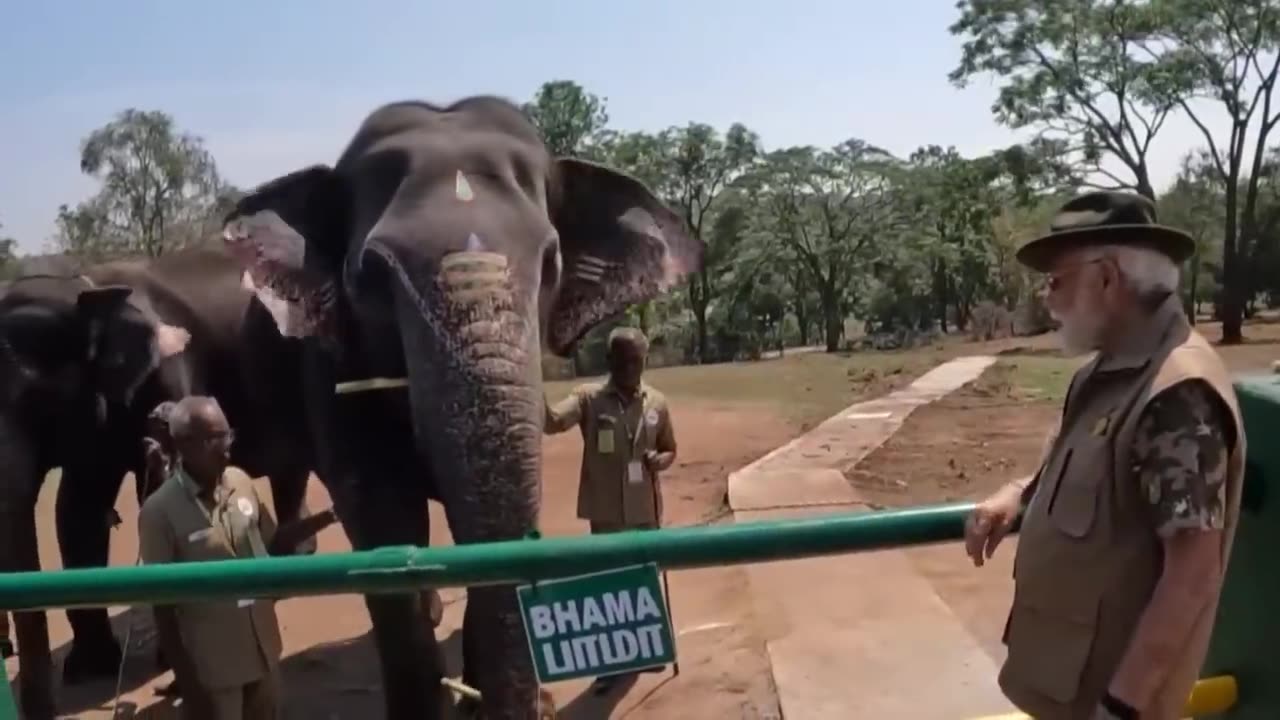 PM. Modi visit to banddipur & mudumalai reserves [elephan feeding]