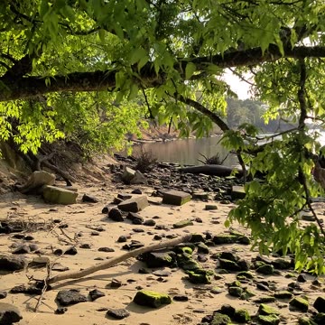 Carolina Beach River NC