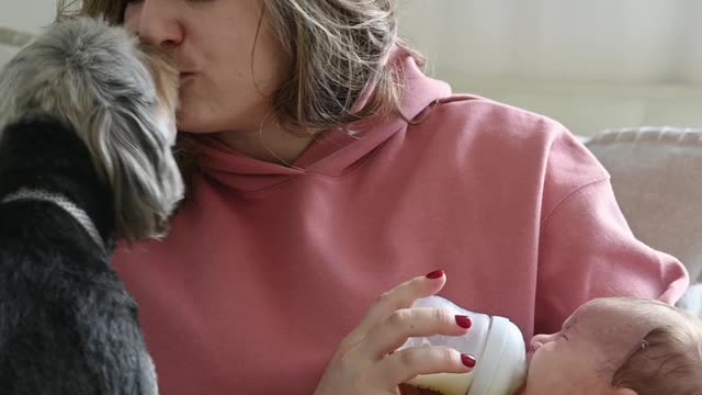 Lovely Moments Woman Are Safar Both Kissing Her Pet Dog And Feeding While Baby.