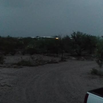 Singers (frogs) coming out to celebrate