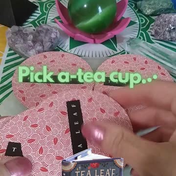 Pick-A-Tea Cup #shorts