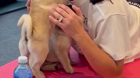 Puppy Yoga 🐾🐕