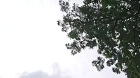 I touched grass this month