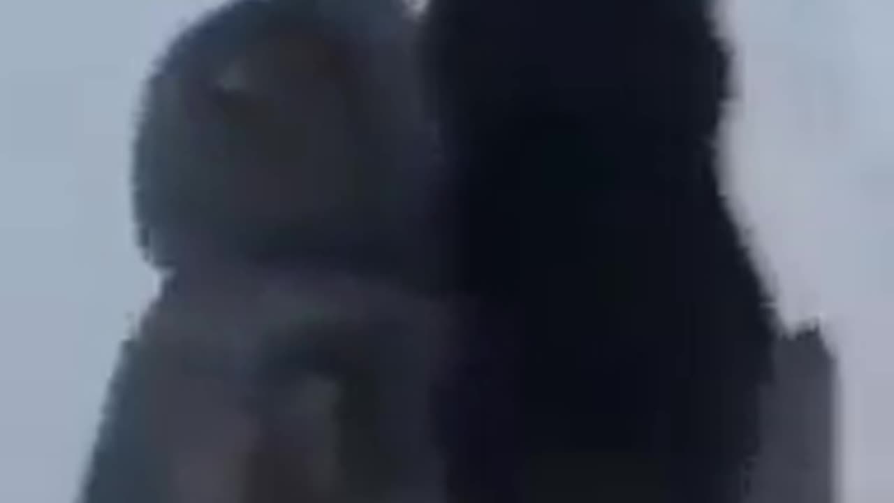 Uppsss