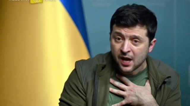 Zelenskyj jako kohut
