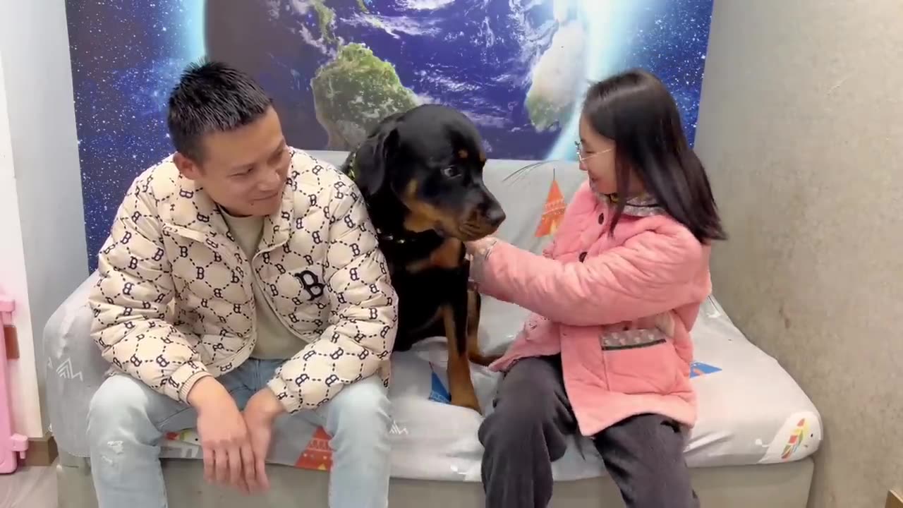 Dog and funny Video🤣🤣🤣😂😂 anima best video