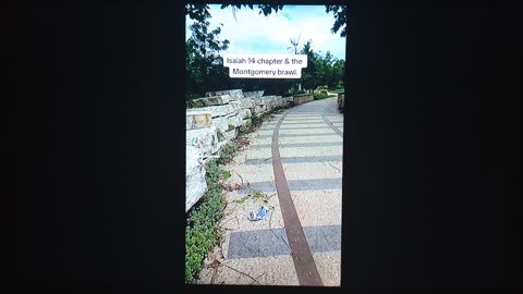 MALCHAAMAH TIKTOK SHORTS- MALCHAAMAH