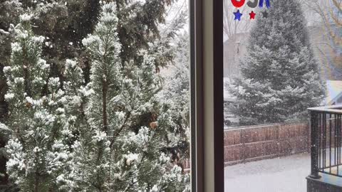 Snowing in Colorado