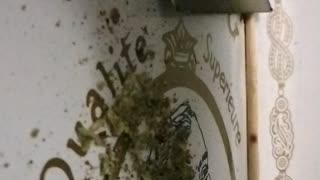 Test video rolling
