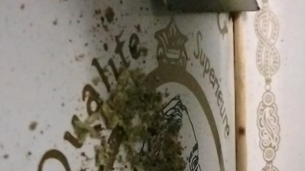 Test video rolling
