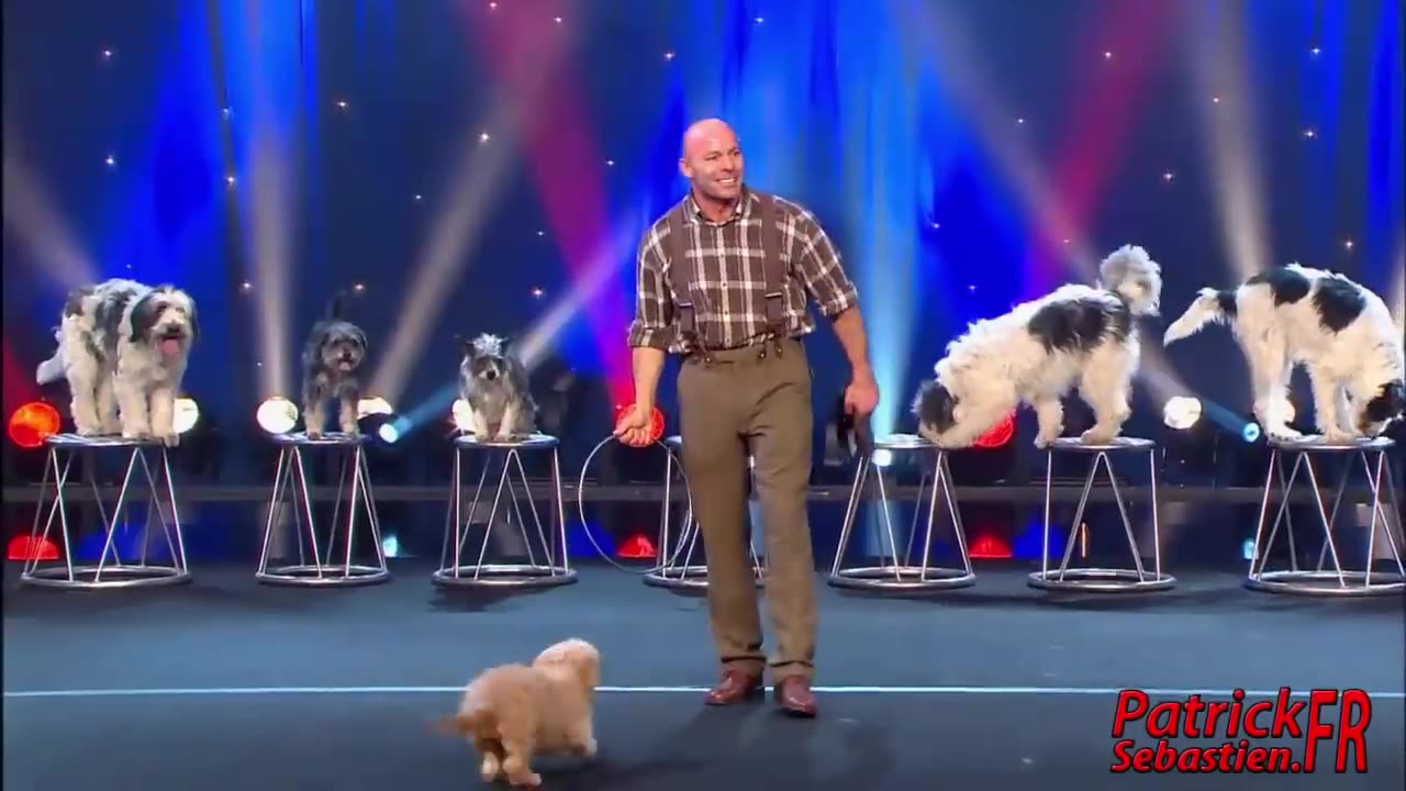 Wolfgang Lauenburger - Dressage de Chiens - Le Plus Grand Cabaret Du Monde